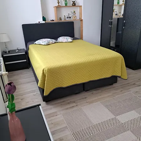 Bingen شقة *